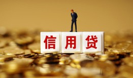 成都短期哪里可以民间借贷-成都短期私人借钱当天拿钱-成都短期贷款联系电话